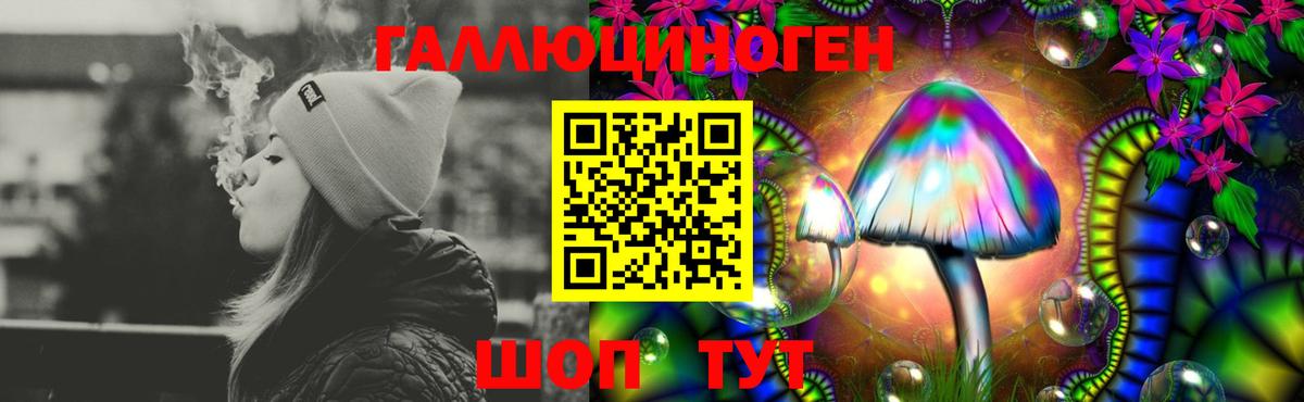 Псилоцибиновые грибы Psilocybe  Вход с VPN  Галлюциногенные грибы GOLDEN TEACHER  Лысьва 